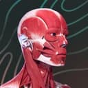 Easy Anatomy 3D with Voice AI logo