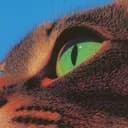 ALLEYKAT logo