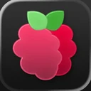 Raspberry: AI Food Journal logo