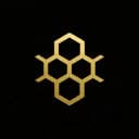 hyve - the founder network logo