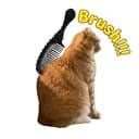 Brush Jjaemu logo