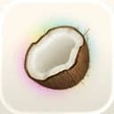 Coconote - AI Note Taker logo