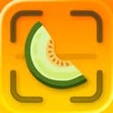 Honeydew: Capture Recipes logo