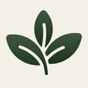 Verda: Home Apothecary logo
