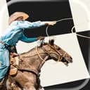 Rodeo - Save it. Do it. logo